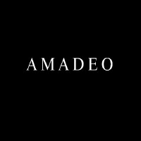 Venture Capital & Angel Investors Amadeo Global in  NY